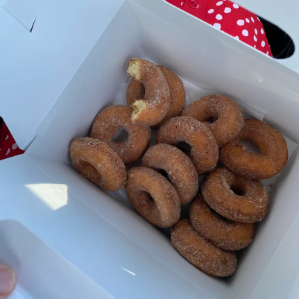 North Fork day trip featuring Briermere Farms pies, cider donuts, and fall festival fun on Long Island